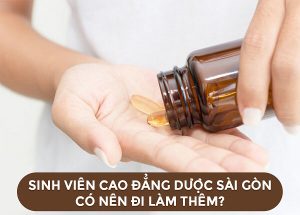 Sinh Viên Cao Đẳng Y Dược Đi Làm Thêm Có Nên Đi Làm Thêm Hay Không?