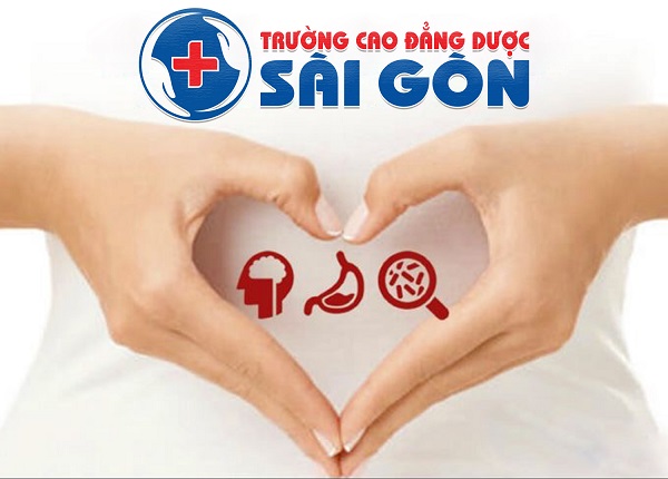 Trường Cao Đẳng Dược Sài Gòn Xây Dựng Trường Học Thông Minh