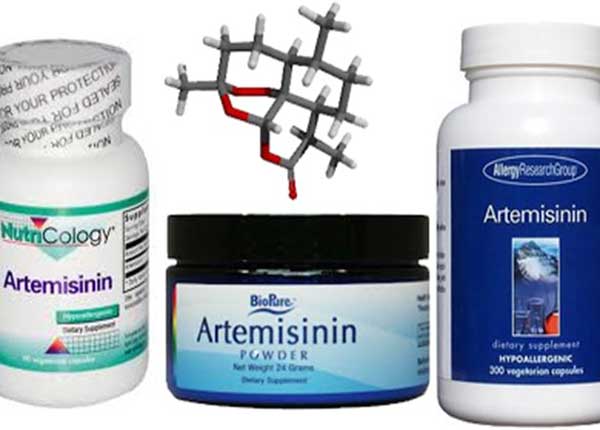 Thuốc Artemisinin được dùng để điều trị bệnh dị ứng