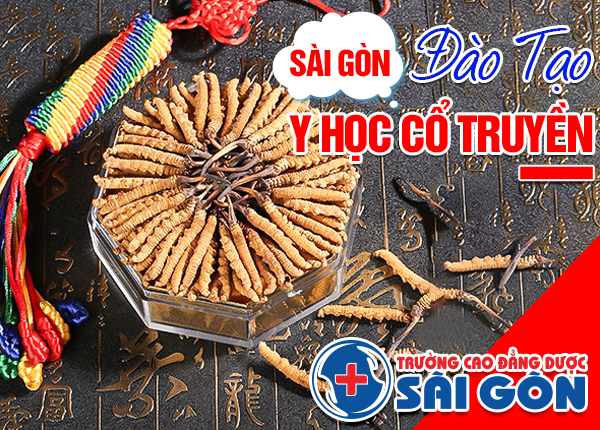 Trường Cao Đẳng Dược Sài Gòn tuyển sinh Y học cổ truyền