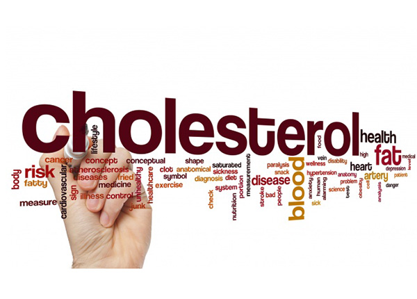 Rối loạn lipid máu là tăng nhiều lượng cholesterol xấu và giảm lượng cholesterol tốt