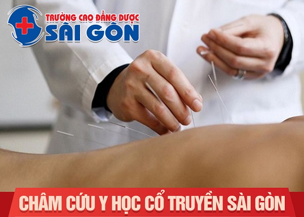 Đào tạo châm cứu y học cổ truyền Sài Gòn 2019