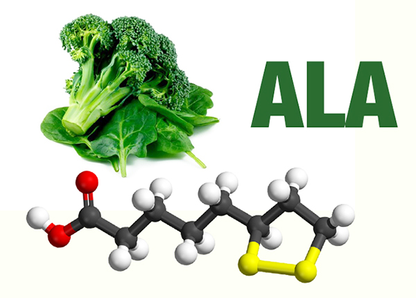 Alpha Lipoic acid trong súp lơ xanh có thể hỗ trợ chống lại bệnh Tiểu đường