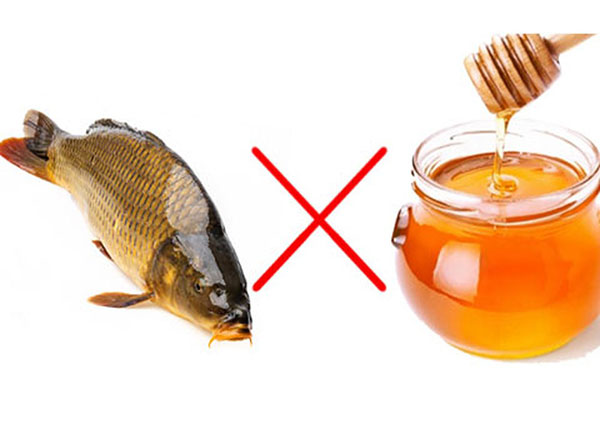 Mật ong kết hợp với cá chép có thể gây ngộ độc