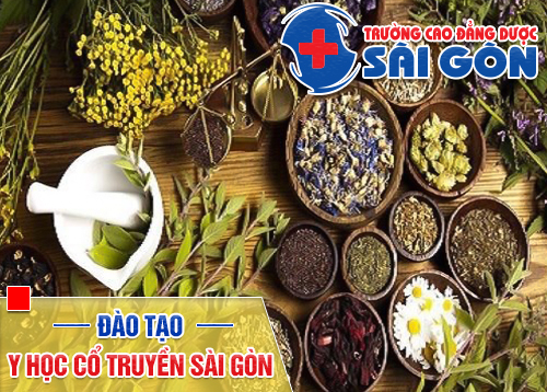 Đào tạo Y học cổ truyền uy tín tại Sài Gòn