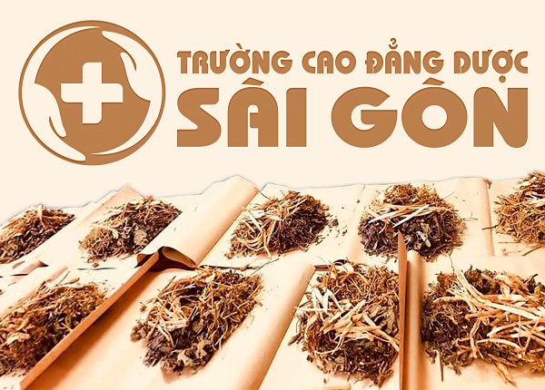 Trường Cao đẳng Dược Sài Gòn địa chỉ đào tạo Đông Y uy tín