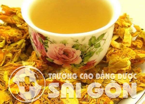 Y học cổ truyền đào tạo tại Sài Gòn chuẩn Bộ Y tế