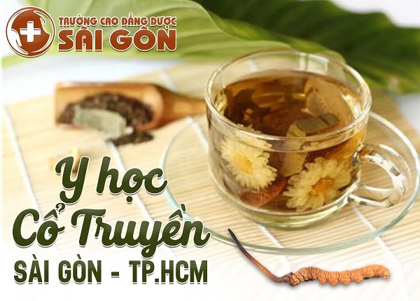 Đào tạo Y học cổ truyền Sài Gòn uy tín chất lượng