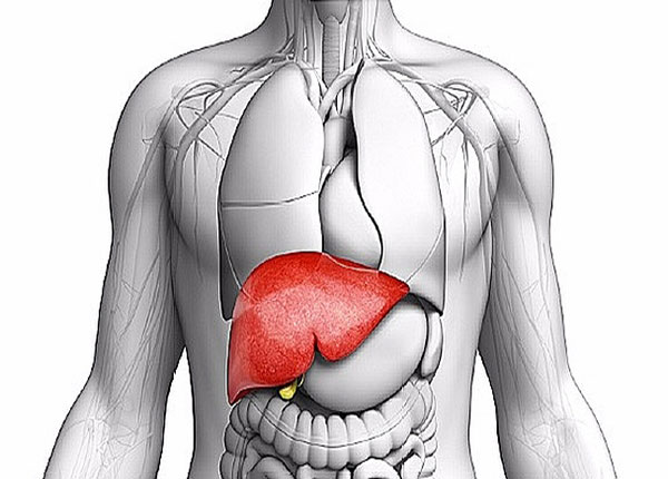 Sử dụng phương pháp bấm huyệt có thể giúp gan phổi khỏe mạnh