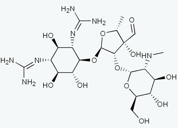 Cấu trúc kháng sinh nhóm Aminoglycosid