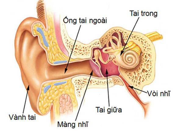 Hướng dẫn chữa viêm tai giữa