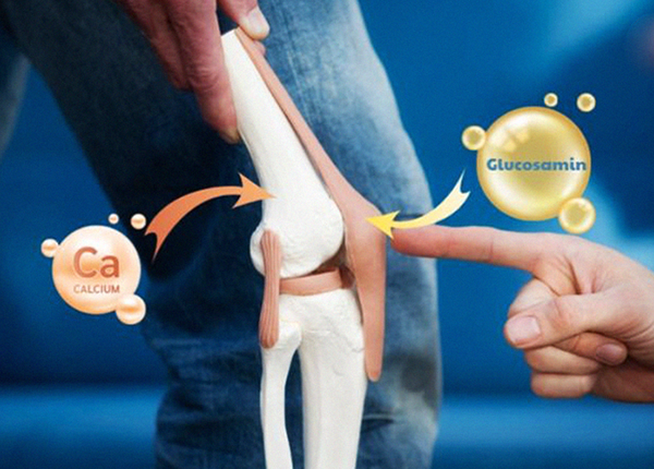 Glucosamine là một hoạt chất tự nhiên hỗ trợ điều trị xương khớp